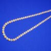 Gold plated chain for men